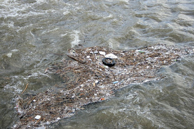 Agua de mar contaminada