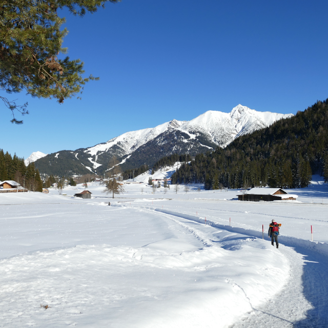 seefeld escursioni invernali ciaspole