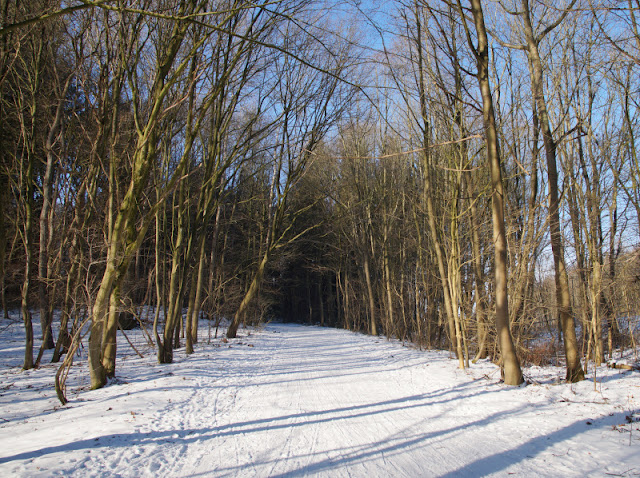 Küsten-Spaziergänge rund um Kiel, Teil 8: Schlitten-Spaziergang über den Kuckucksberg. Ein Schnee-Spaziergang ist hier im Norden, in Schleswig-Holstein, wirklich ein besonderes Erlebnis!