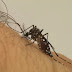 Municípios com taxas elevadas de dengue serão priorizados em vacinação