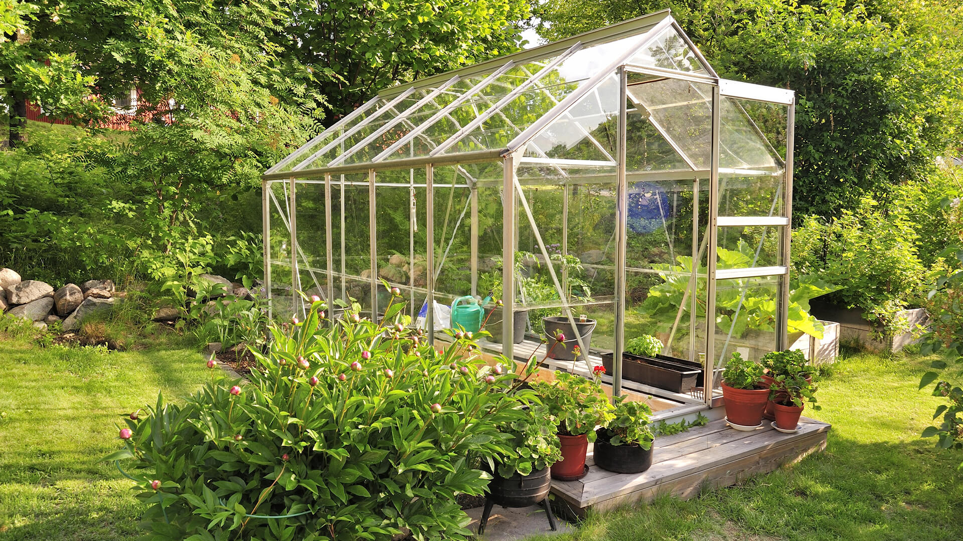 Greenhouse