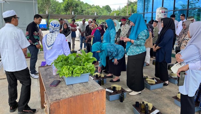 Dispersip Tanah Bumbu Gelar Pelatihan Budidaya Hydroponik