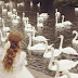 The Swan Queen