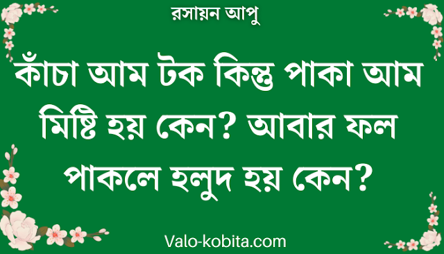 কাঁচা আম টক কিন্তু পাকা আম মিষ্টি হয় কেন? আবার ফল পাকলে হলুদ হয় কেন?