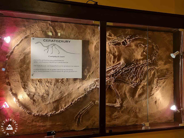 Muzeum dinozaurów