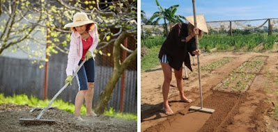 Cuando se quiere cultivar un prado o un terreno no cultivado, se ha de proceder del siguiente modo