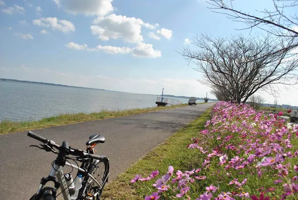 大井戸湖岸公園