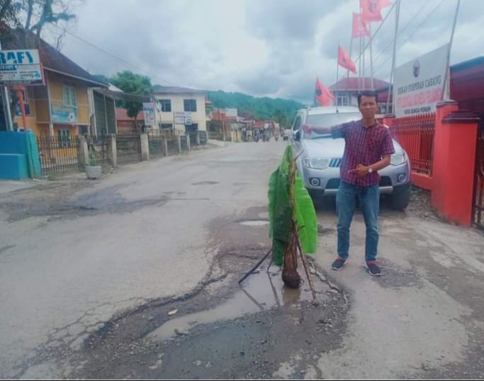 Kritik Walikota Sungaipenuh, Kader PDIP Tanam Pohon Pisang di Jalan