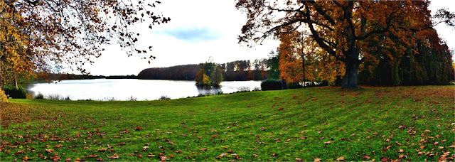 Blick auf den Schaalsee vom Herrenhaus Stintenburg