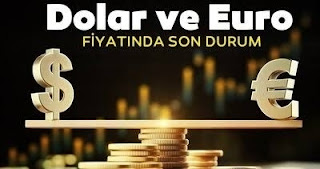 Canlı Döviz Kuru Fiyatları dolar ve euro fiyatları