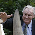 Kenyan paleoanthropologist Richard Leakey dies at 77