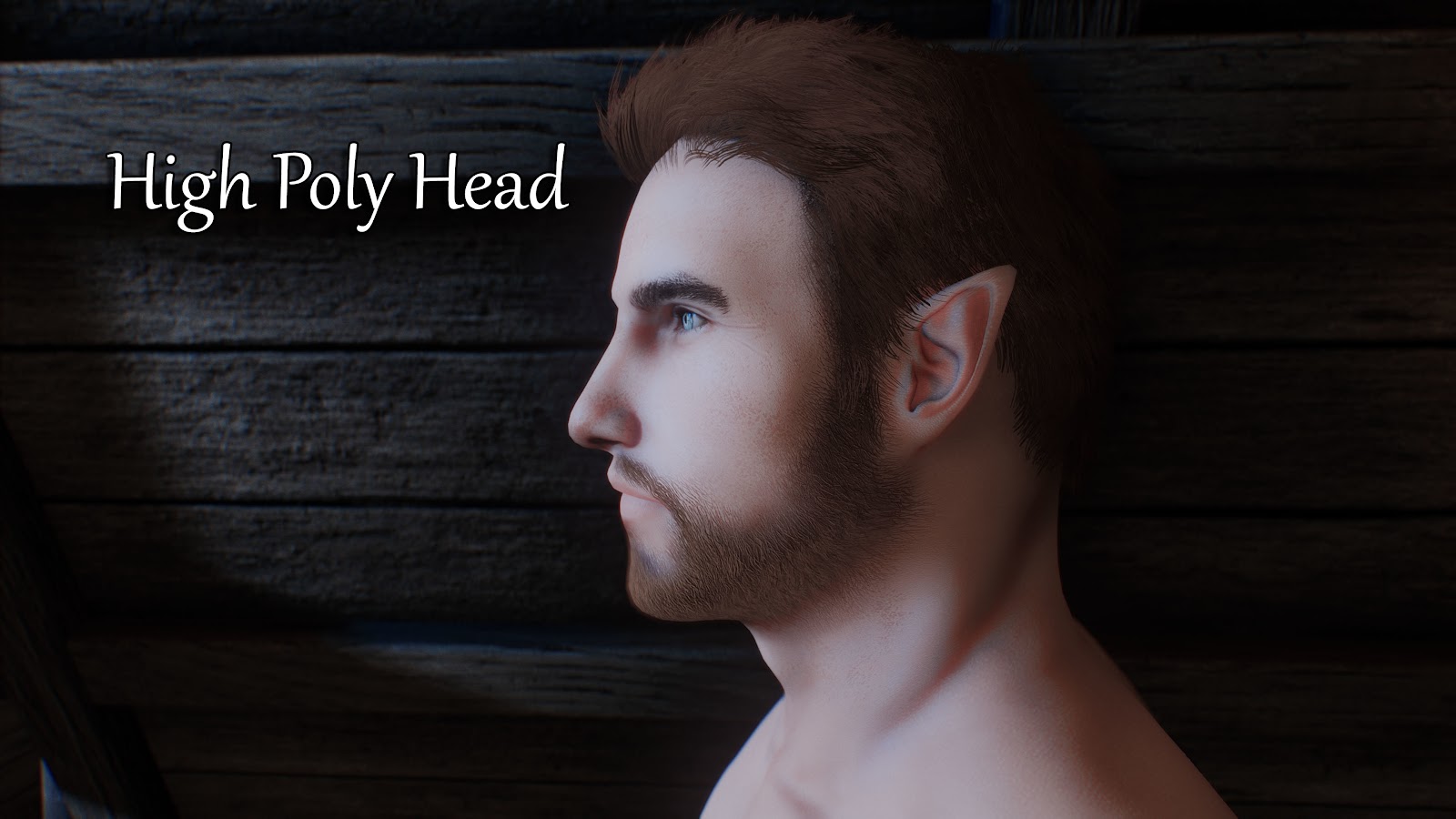 Skyrim High Poly Head 1.4