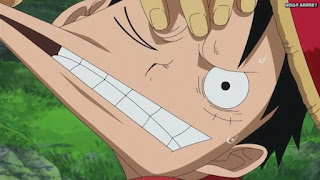 ワンピースアニメ ゾウ編 770話 ルフィ Monkey D. Luffy | ONE PIECE Episode 770