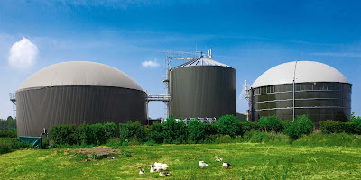 Biogas is made from agricultural waste, manure, municipal trash, plant material, sewage, green waste, and food waste.