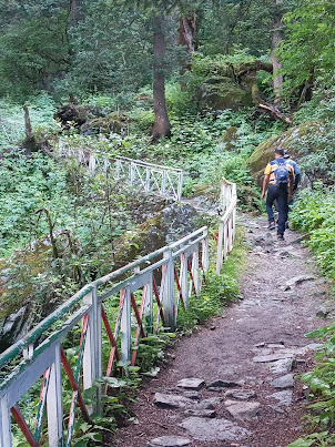 Pathway in " Valley of Flowers".