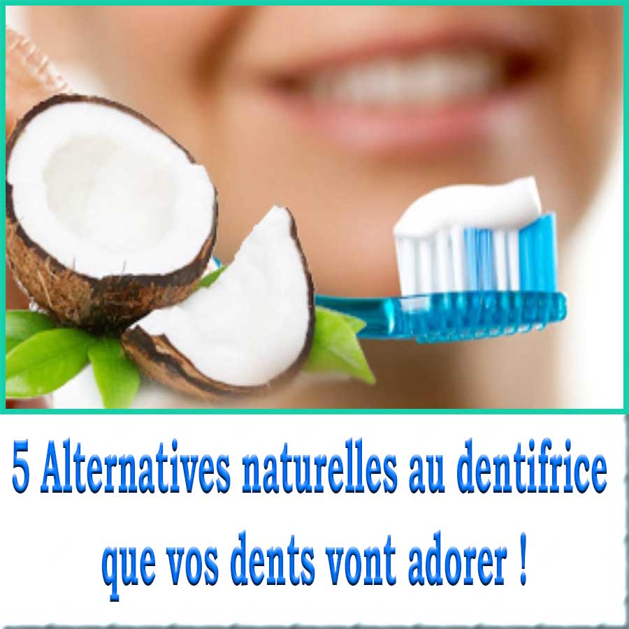 5 Alternatives naturelles au dentifrice que vos dents vont adorer !
