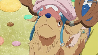 ワンピースアニメ WCI編 792話 チョッパー かわいい Tony Tony Chopper | ONE PIECE Episode 792