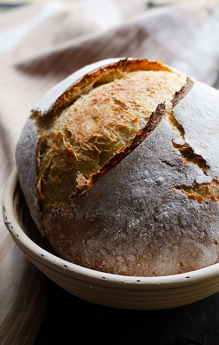 sourdough bread recipe