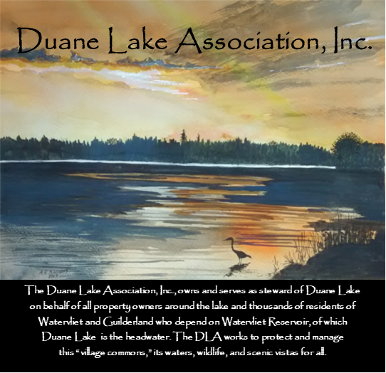                                                   Duane Lake Association