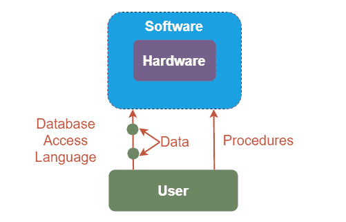 Components of Database Management System