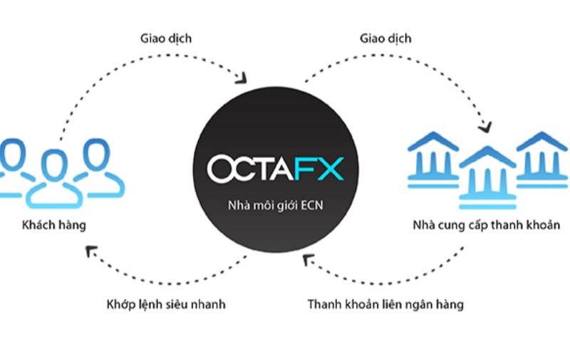 Các tính năng hàng đầu của OctaFX