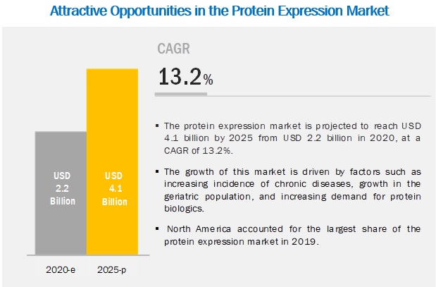 Protein Expression Market