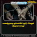   பாணந்துறை துப்பாக்கிச் சூடு : மேலும் இருவர் கைது!