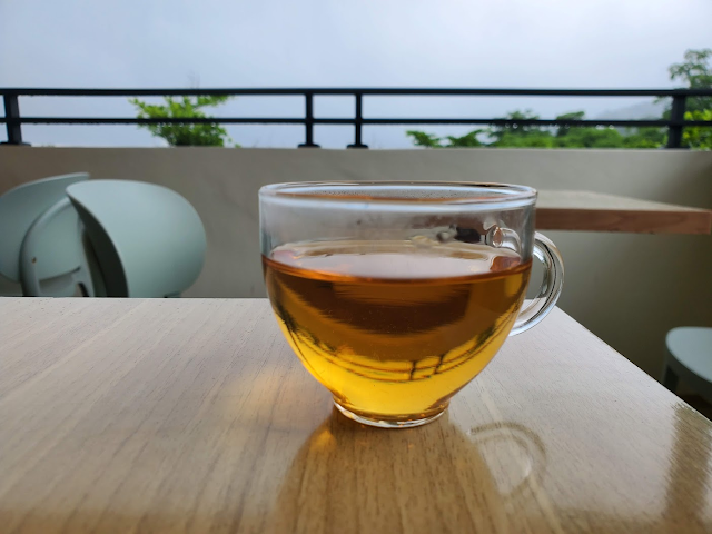 貓空下大雨，在店內喝茶聊天