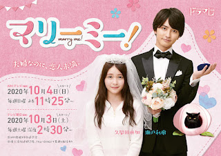 review marry me japanese drama