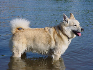 baden in de maas