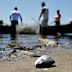 SP: projeto prevê pagamento a pescadores por coleta de lixo no mar 