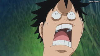 ワンピースアニメ ゾウ編 771話 ルフィ 可愛い Monkey D. Luffy | ONE PIECE Episode 771