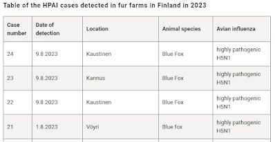 Finland reports H5N1 avian flu in blue foxes on fur farm