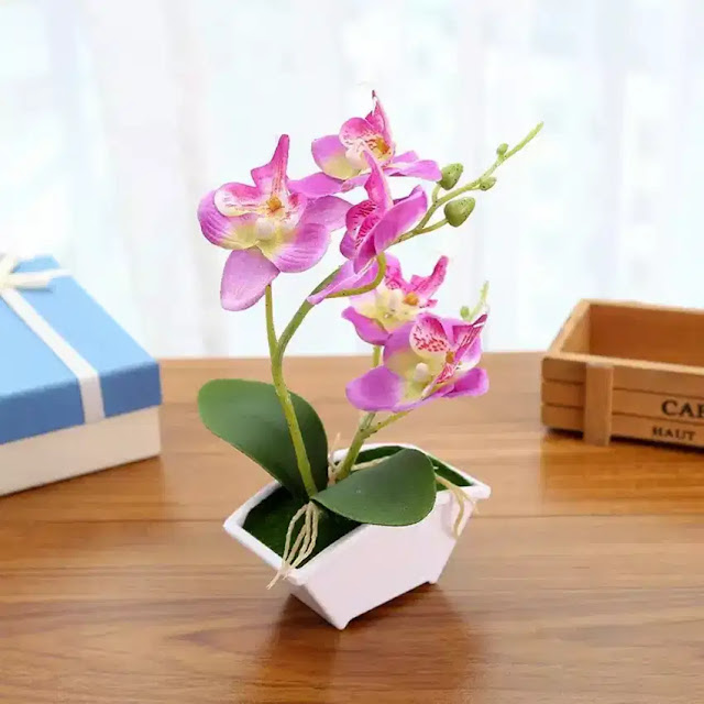 bunga orchid