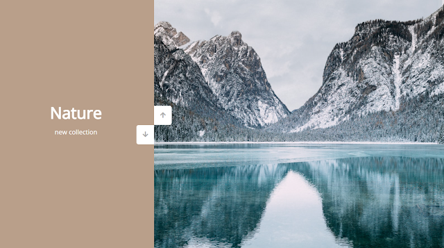 Vertical Slider With Image Gallery Using HTML,CSS & JavaScript