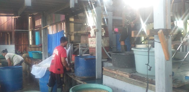 Di Tengah Wabah Corona, Home Industri Tahu Di Moswaren Butuh Dukungan Dinas Perindagkop Sorong Selatan 
