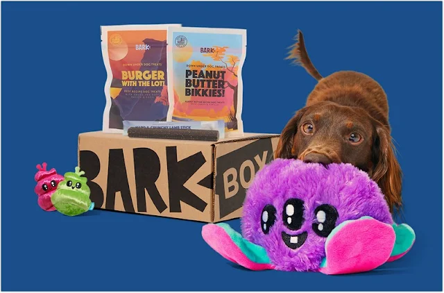 Best Monthly Toy Subscription Box for Dogs