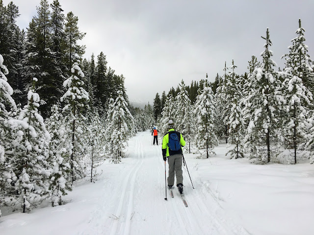 Family Adventures in the Canadian Rockies: Cross-country Skiing along ...