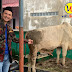 Ikut Rayakan Idul Adha 2024, Karya Bate'e Berbagi Hewan Qurban 