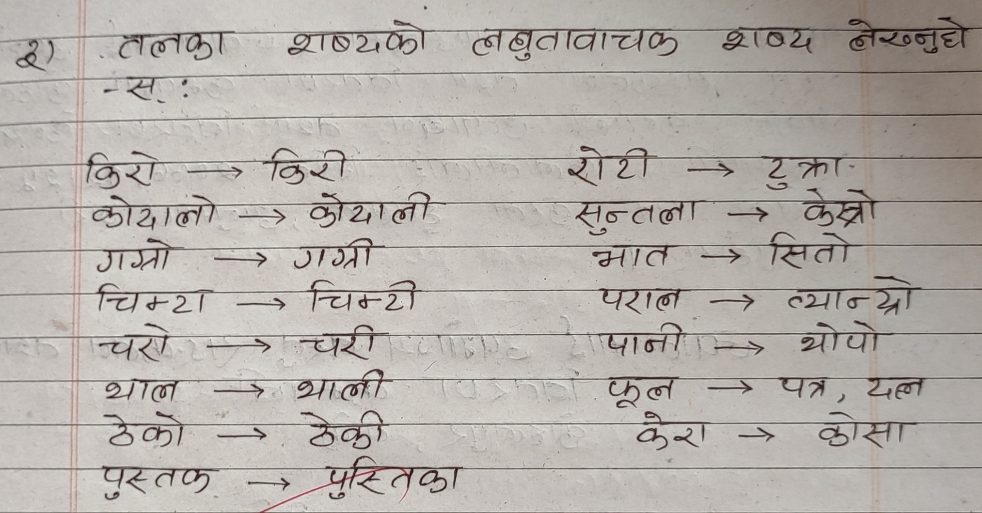 class 12 nepali chapter 4 exercise