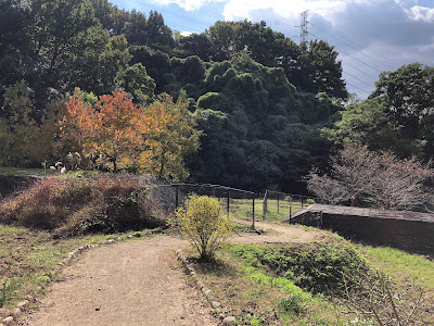 【大阪府大東市】野崎中川砂防・緑の広場