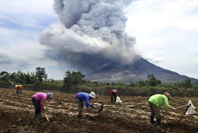 Campo de siembra y erupción volcánica