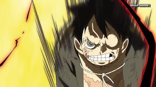 One Piece 第868話 覇王色の覇気の衝突 ネタバレ