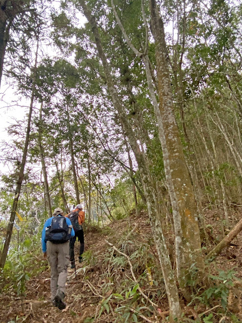 往我音山