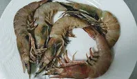 Medium size fresh prawns for prawns fry recipe