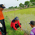 PPL & POPT Kalitengah Dampingi Petani Dalam Pengendalian Hama Tikus Serentak