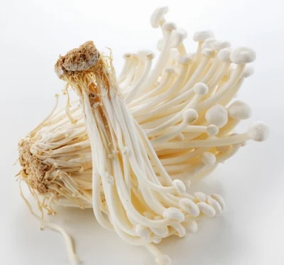 Enoki Mushroom Company In India