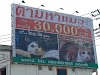 Japanese Woman Advertises Missing Cat On Billboard In Phuket