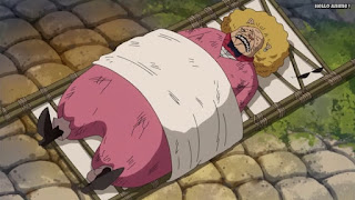 ワンピースアニメ ゾウ編 764話 ペコムズ | ONE PIECE Episode 764