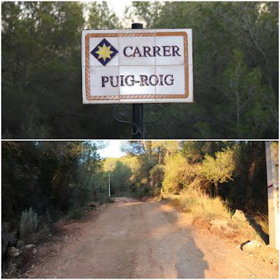 BONASTRE-LA MOLA-BOSC DE L'OBAGA DEL MAIÀ-MUNTANYES DEL TET-MASIA D'ESCANSA, carrer Puig-Roig a l'urbanitzacio de la Font de la Gavatxa